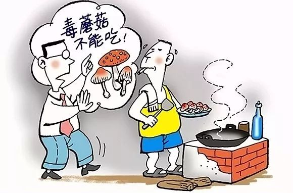疾病最新动态与小巷深处的健康秘密揭秘